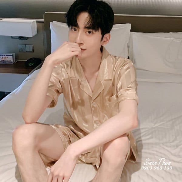 Pijama nam lụa ngắn tay D0066M 2 Do Ngu Nam Tphcm